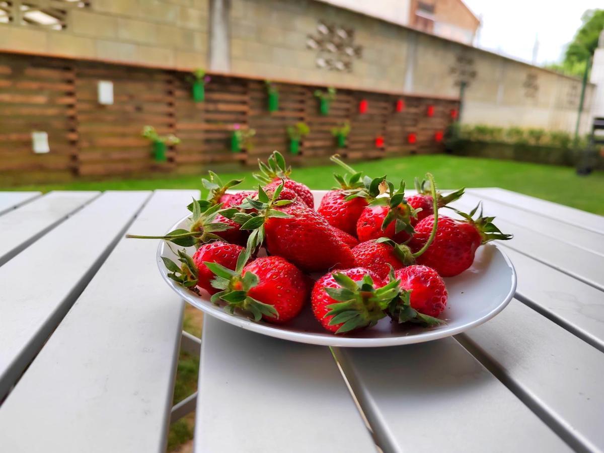 With Private Yard And Bbq Апартамент Варна